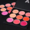 paleta de rubores Blushed cheecks