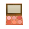 AteneaEcommerceV27234 PALETA DE RUBORES ATEMPORAL MAKEUP EXPERT