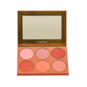 PALETA DE RUBORES ATEMPORAL  MAKEUP EXPERT