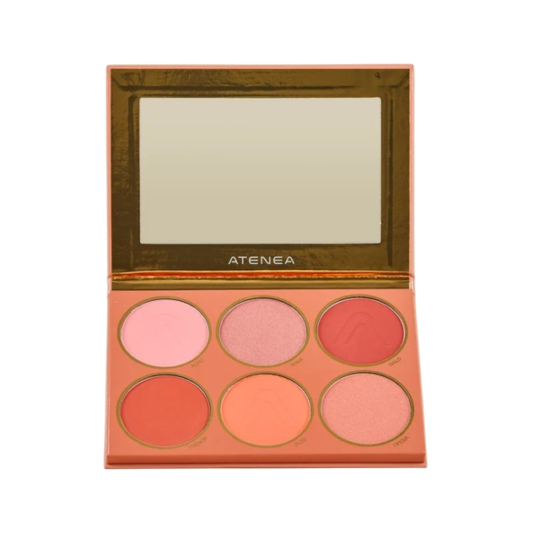 AteneaEcommerceV27234 PALETA DE RUBORES ATEMPORAL MAKEUP EXPERT